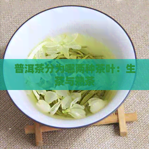 普洱茶分为哪两种茶叶：生茶与熟茶