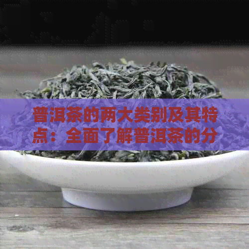 普洱茶的两大类别及其特点：全面了解普洱茶的分类与品质