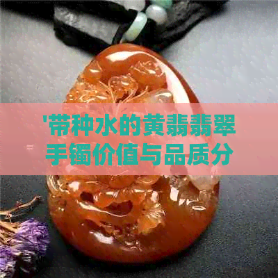 '带种水的黄翡翡翠手镯价值与品质分析'