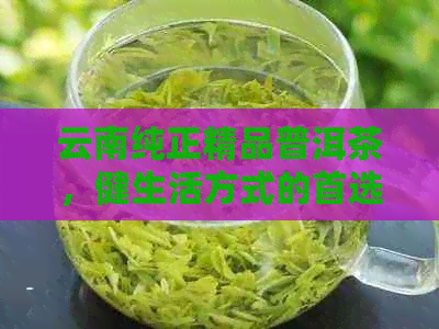 云南纯正精品普洱茶，健生活方式的首选之选