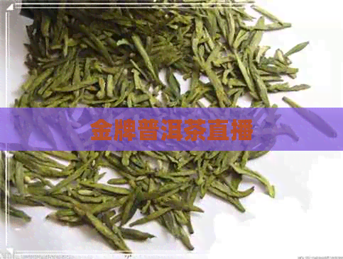 金牌普洱茶直播