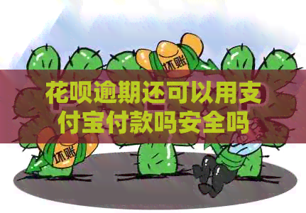 花呗逾期还可以用支付宝付款吗安全吗