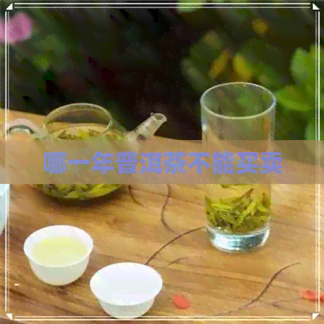 哪一年普洱茶不能买卖