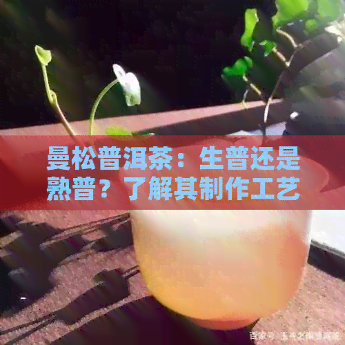 曼松普洱茶：生普还是熟普？了解其制作工艺与口感差异，以便做出明智选择