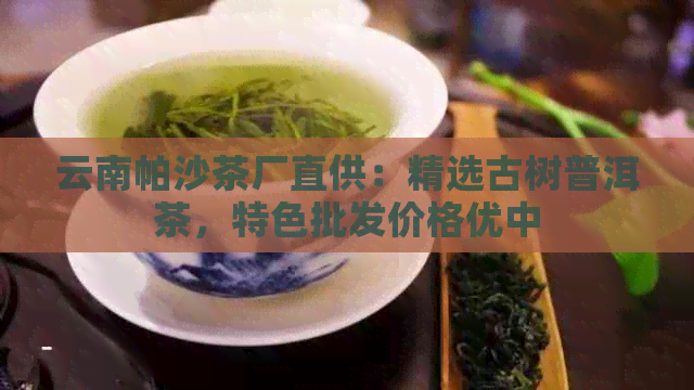 云南帕沙茶厂直供：精选古树普洱茶，特色批发价格优中