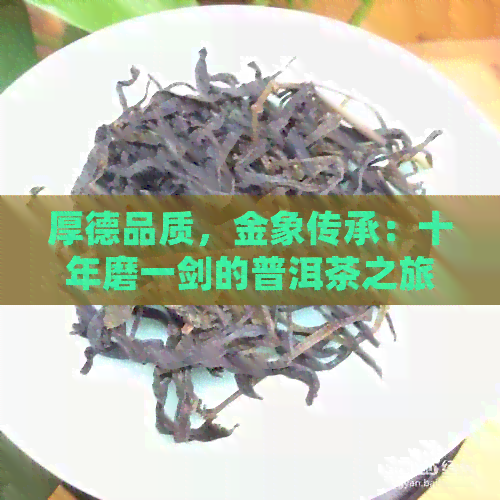 厚德品质，金象传承：十年磨一剑的普洱茶之旅