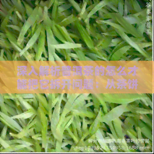 深入解析普洱茶的怎么才能把它拆开问题：从茶饼到茶的全方位解读