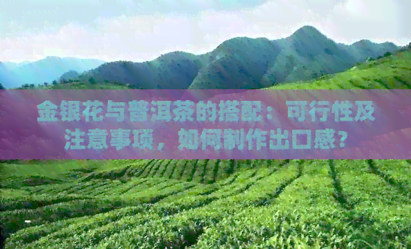 金银花与普洱茶的搭配：可行性及注意事项，如何制作出口感？