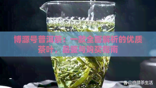 博源号普洱茶：一款全面解析的优质茶叶，品鉴与购买指南