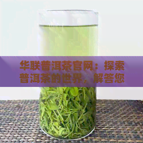 华联普洱茶官网：探索普洱茶的世界，解答您关于茶叶的全部疑问