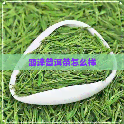 源涞普洱茶怎么样