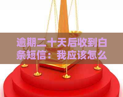 逾期二十天后收到白条短信：我应该怎么做？是否会被追究责任？