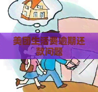 美团生活费逾期还款问题