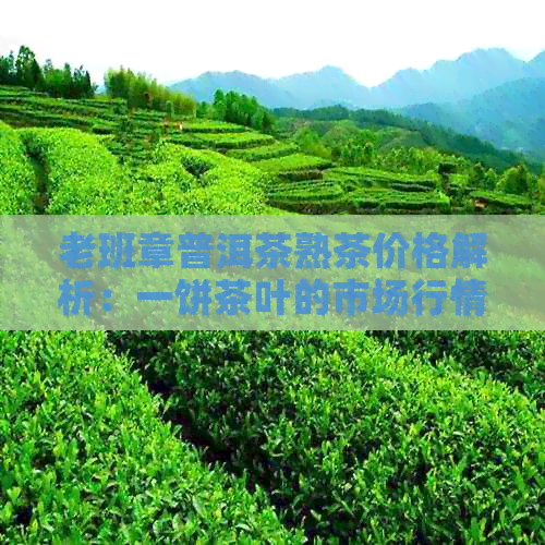 老班章普洱茶熟茶价格解析：一饼茶叶的市场行情和品质评价