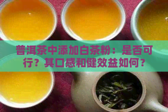 普洱茶中添加白茶粉：是否可行？其口感和健效益如何？