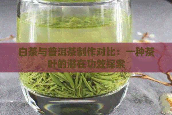 白茶与普洱茶制作对比：一种茶叶的潜在功效探索