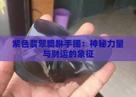 紫色翡翠貔貅手镯：神秘力量与财运的象征