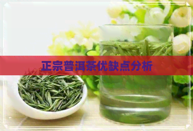 正宗普洱茶优缺点分析