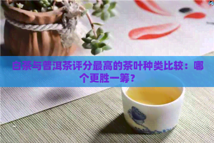 白茶与普洱茶评分更高的茶叶种类比较：哪个更胜一筹？