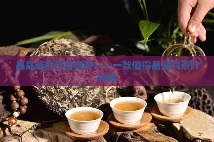 品质越的顶普洱茶——一款值得品鉴的茶叶体验