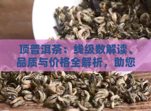 顶普洱茶：线级数解读、品质与价格全解析，助您轻松选购高品质普洱茶