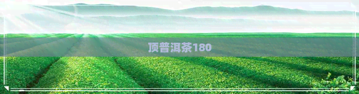 顶普洱茶180