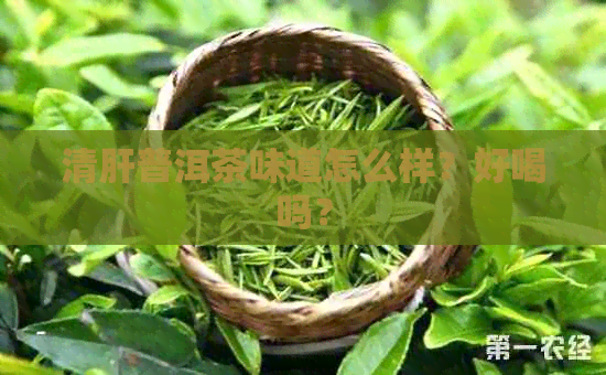 清肝普洱茶味道怎么样？好喝吗？