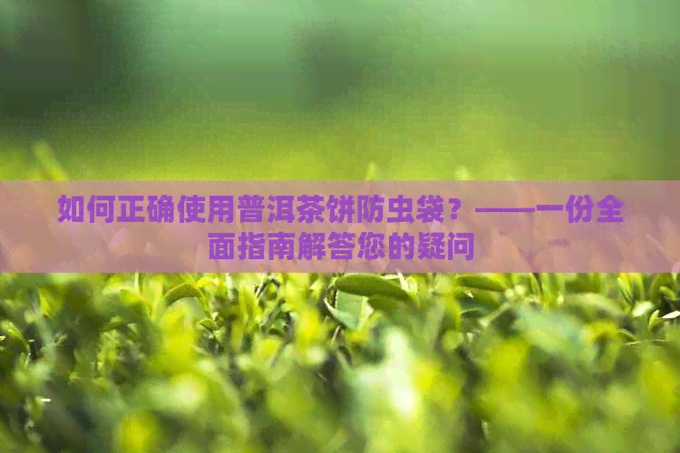 如何正确使用普洱茶饼防虫袋？——一份全面指南解答您的疑问