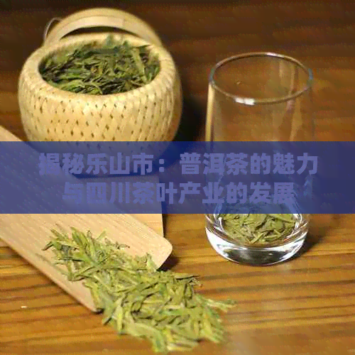 揭秘乐山市：普洱茶的魅力与四川茶叶产业的发展