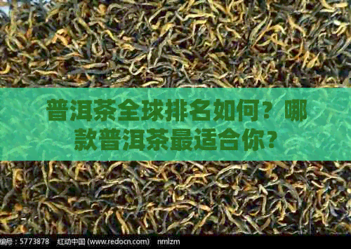 普洱茶全球排名如何？哪款普洱茶最适合你？