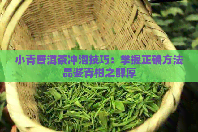 小青普洱茶冲泡技巧：掌握正确方法品鉴青柑之醇厚