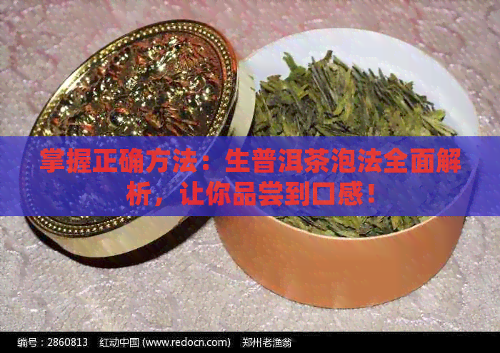 掌握正确方法：生普洱茶泡法全面解析，让你品尝到口感！