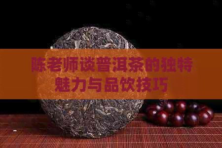 陈老师谈普洱茶的独特魅力与品饮技巧