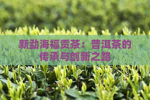 新勐海福贡茶：普洱茶的传承与创新之路