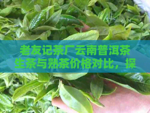 老友记茶厂云南普洱茶生茶与熟茶价格对比，探讨其健价值