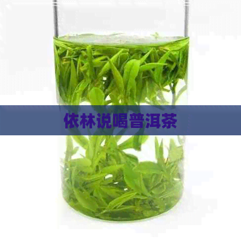 依林说喝普洱茶