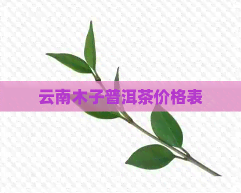 云南木子普洱茶价格表