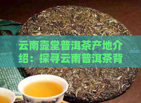 云南壶堂普洱茶产地介绍：探寻云南普洱茶背后的文化与地理秘密