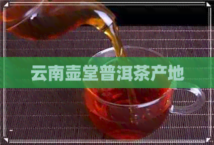 云南壶堂普洱茶产地