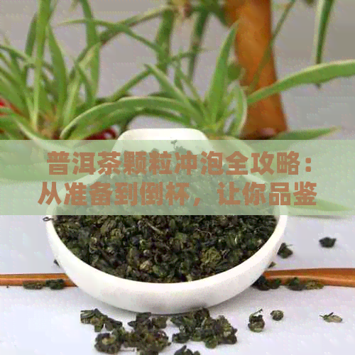 普洱茶颗粒冲泡全攻略：从准备到倒杯，让你品鉴完美的普洱茶