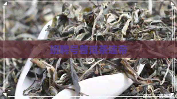 班聘号普洱茶迷帝