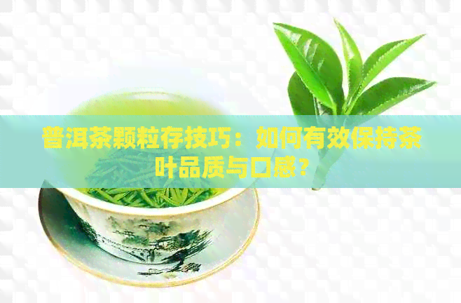 普洱茶颗粒存技巧：如何有效保持茶叶品质与口感？