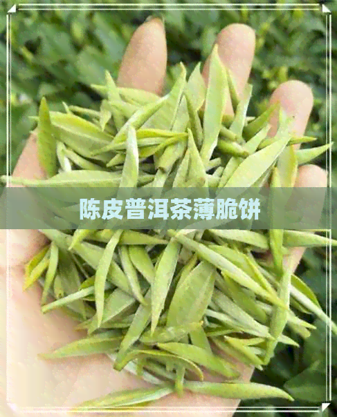 陈皮普洱茶薄脆饼