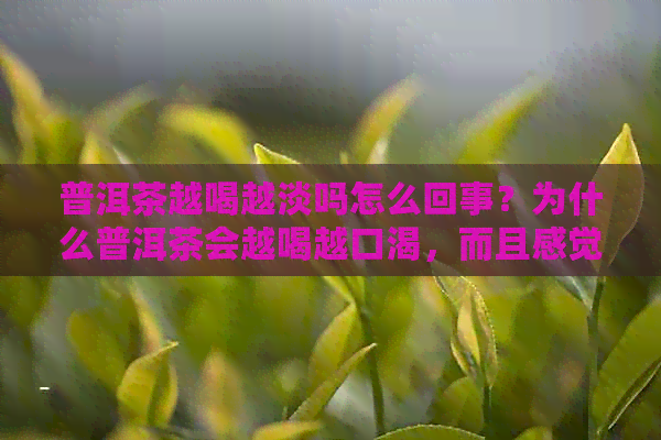 普洱茶越喝越淡吗怎么回事？为什么普洱茶会越喝越口渴，而且感觉很淡呢？