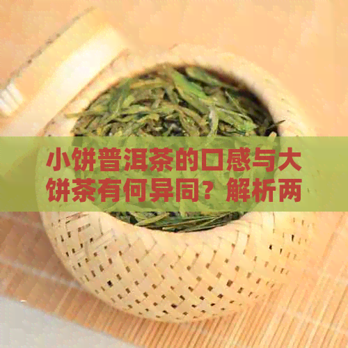 小饼普洱茶的口感与大饼茶有何异同？解析两者之间的独特区别