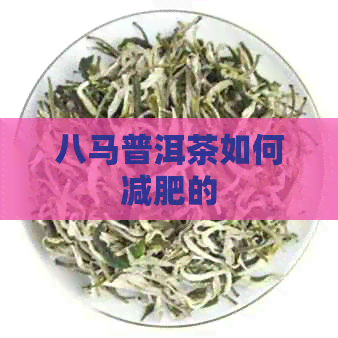 八马普洱茶如何减肥的