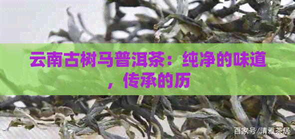 云南古树马普洱茶：纯净的味道，传承的历