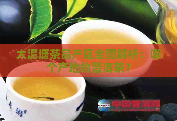 大泥塘茶品产区全面解析：哪个产地的普洱茶？