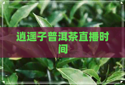 逍遥子普洱茶直播时间