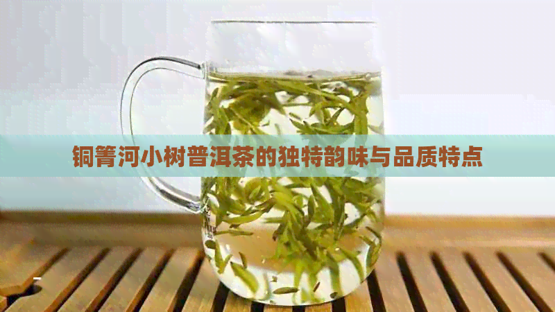 铜箐河小树普洱茶的独特韵味与品质特点